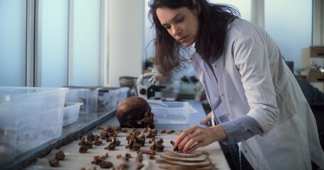Young scientist works with fossil remains in archaeological laboratory. Female archaeologist in lab...