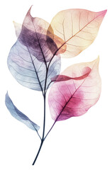 Obraz premium PNG Colorful translucent leaves on a delicate branch