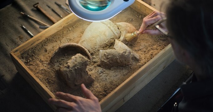 Close up of mature archaeologist cleaning cultural heritage of extinct civilization from sand under lamp, using brush. Scientist works in archaeological laboratory, examines ancient fossil remains.