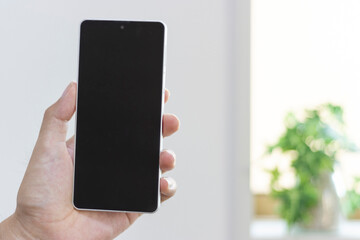 スマートフォンを持つ男の手（30代、日本人）