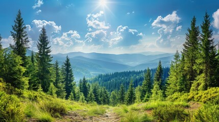 Obraz premium Magnificent panoramic view the coniferous forest on the mighty Carpathians Mountains and beautiful blue sky background. Beauty of wild virgin Ukrainian nature. Peacefulness , ai