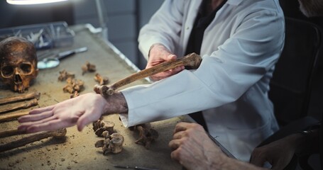 Archaeologist shows size of ancient man bone to colleague and talks. Scientists doing scientific...