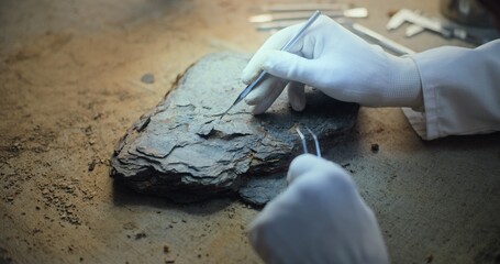 Close up of archaeologist in gloves cleaning fossil using professional tools. Scientist works with...
