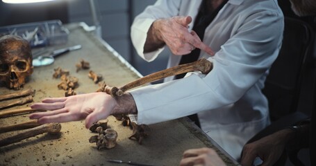 Archaeologist shows size of ancient man bone to colleague and talks. Scientists doing scientific and historical research of prehistoric human skeleton remains, working in archaeological lab. Close Up.