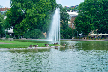 Fototapete bei efototapeten.de bestellen   