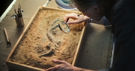 Mature archaeologist studies remains of ancient animal or human under lamp using magnifying glass....