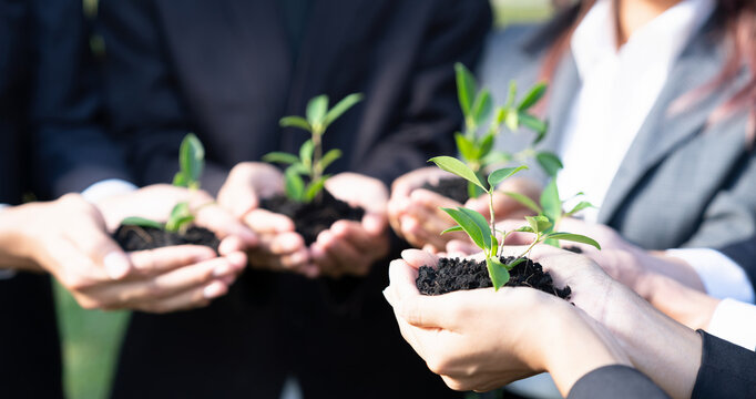 Business people hold plant together in unity and teamwork concept of eco company committed to corporate social responsible, reducing CO2 emission, embrace ESG principle for sustainable future. Gyre