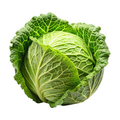 cabbage isolated on white background