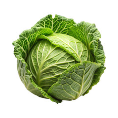 cabbage isolated on white background