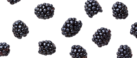Set of isolated Blackberry on transparent background. cut flower elements, garden themed designs. Top view high quality PNG." design elements, top view / flat lay.