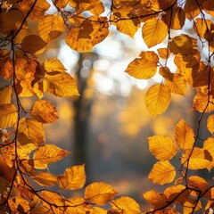 Autumn foliage framing a vibrant blue sky during a sunny day