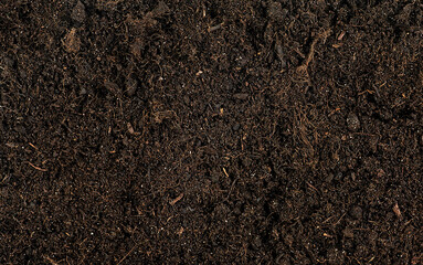 Gardening season - pile of fertile soil as background, top view. Black soil.