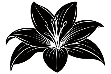 Creative Flower Silhouette Vector Art Illustration – SVG Design.