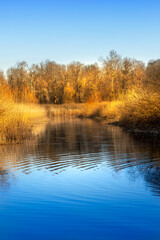 Sunset Overview Of Obedska Bara In Serbia. Entering the swamp area