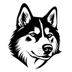 Husky Vector