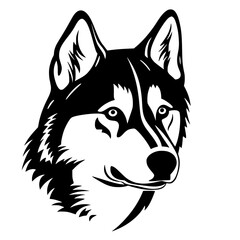 Husky Vector