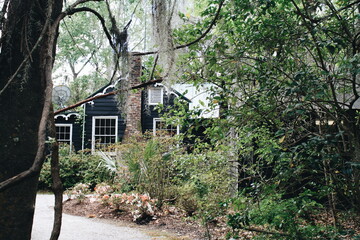 house in the forest