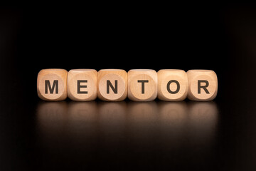 The Mentor Concept Fostering Guidance and Support for Personal and Professional Growth