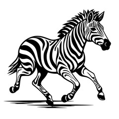 Zebra Vector
