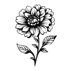 Flower Vector