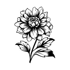 Flower Vector