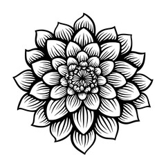 Flower Vector