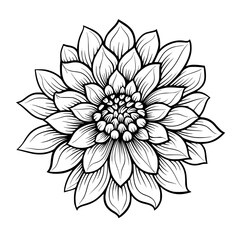 Fototapeta premium Flower Vector