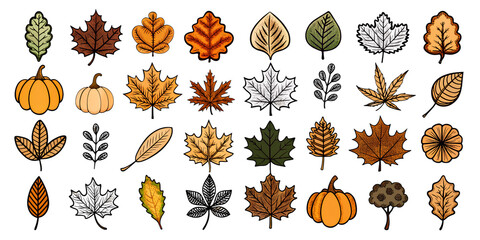 PNG autumn leaves collection Pack of set of linear pumpkins leaves, autumn, patterns for diaries, notebooks, albums, stickers, design ideas on transparent background, brushes sketches