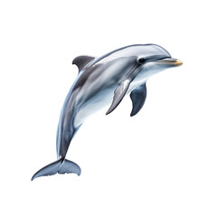 Playful dolphin mid jump with sleek body and smooth skin isolated on a transparent background 