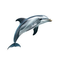 Fototapeta premium Playful dolphin mid jump with sleek body and smooth skin isolated on a transparent background 