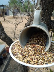 Handmade Cup and Saucer Bird Feeder