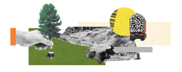creative art collage on the theme of ecology and deforestation