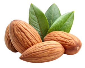 almonds isolated on transparent background png