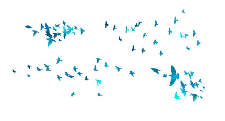 Set of flocks of blue birds. hand drawing. Not AI. Vector illustration