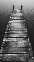 Fototapeta premium grayscale photo of dock