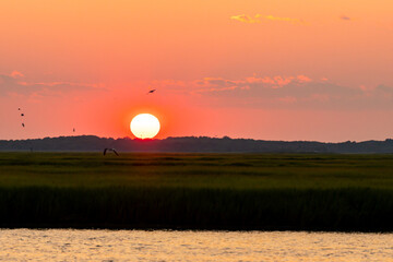 Avalon, New Jersey - Golden Hour Sunset over the Cape May National Wildlife Refuge