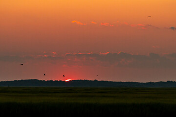Avalon, New Jersey - Golden Hour Sunset over the Cape May National Wildlife Refuge