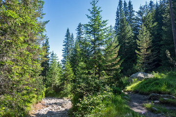 Obraz premium Landscape of Rila Mountain near Malyovitsa peak, Bulgaria