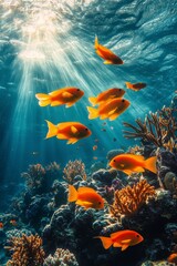 Vibrant orange fish swimming among coral reefs in a sunlit underwater paradise