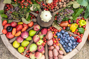 Colorful sellection of fruits apples, berries, nuts and vegetables , cucumber, cabbage, carrots, potatoes, in an old wooden carriage wheel.