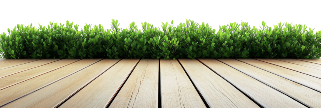 Wooden floor with green bushes isolated on transparent background - 1