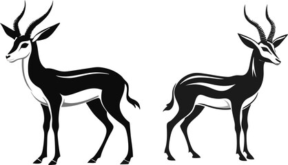 springbok vector art illustration vector illustration 