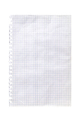 Torn sheet of white checkered paper isolated on transparent background showing grid lines perfect for notes, drawings, and mathematical calculations.