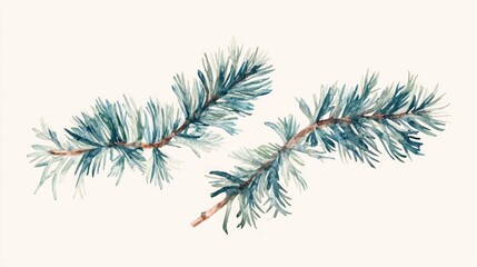 Obraz premium Watercolor illustration featuring three spruce branches on a neutral background