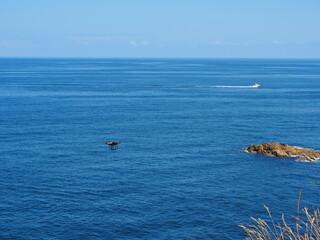 Obraz premium Dron sobre el mar y barco navegando en el horizonte