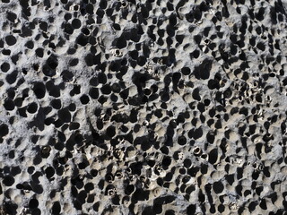 roca de mar repleta de agujeros