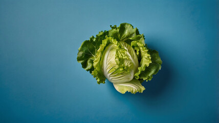 The crisp texture of the cabbage is accentuated by the blue background, capturing the essence of refreshing summer vegetables and their seasonal appeal.