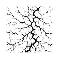 Fissures in the ground, fractures in the wall, or split lines in the concrete. Vector fracture pattern on a background of a wall. White background. 
