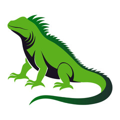 green iguana on a branch