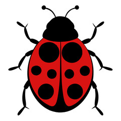 ladybug on white background © abu21